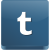 Tumblr icon from http://www.designbolts.com